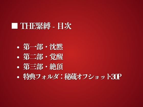 THE緊縛 サンプル2ページ目