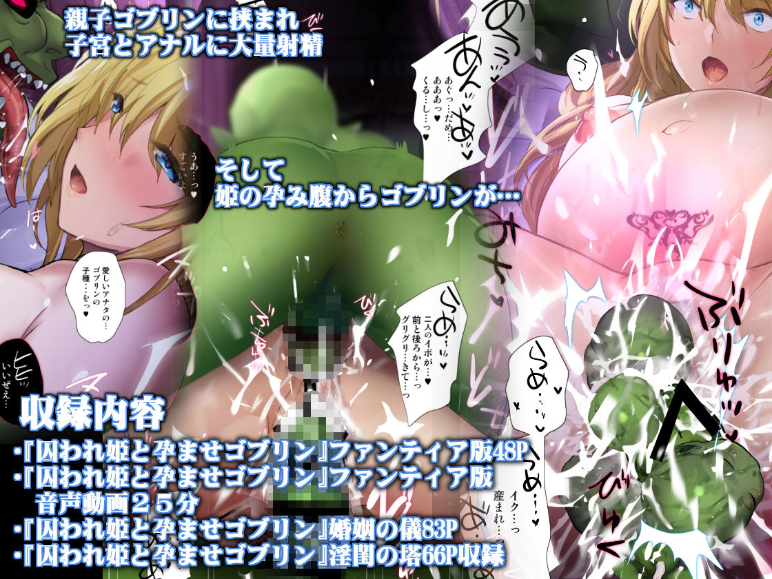 囚われ姫と孕ませゴブリン サンプル5ページ目