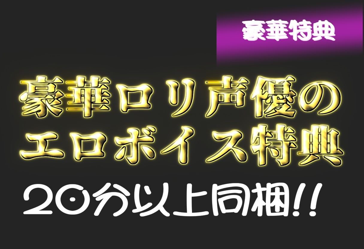 【新作価格】【豪華特典あり】つるぺたスク水ロリ調教ハメ撮り  ボテ腹危険日中出し肉便器集【500個】 サンプル2ページ目