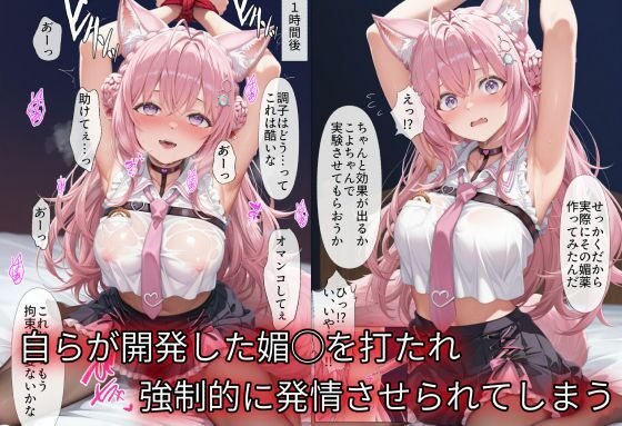 秘密結社完全征服オーバードーズ サンプル2ページ目