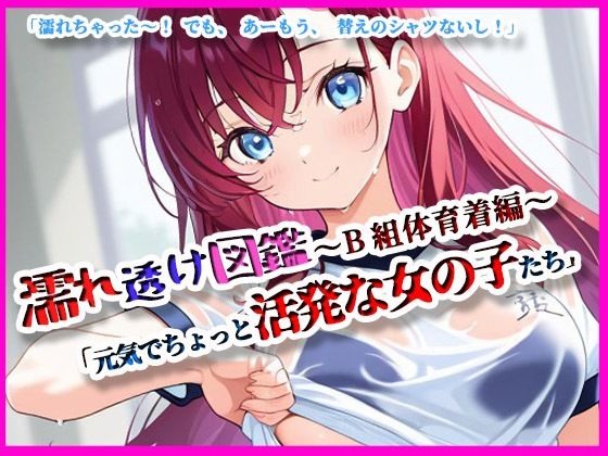 『濡れ透け図鑑 - 体育着編 B組』〜元気でちょっと活発な女の子たち〜