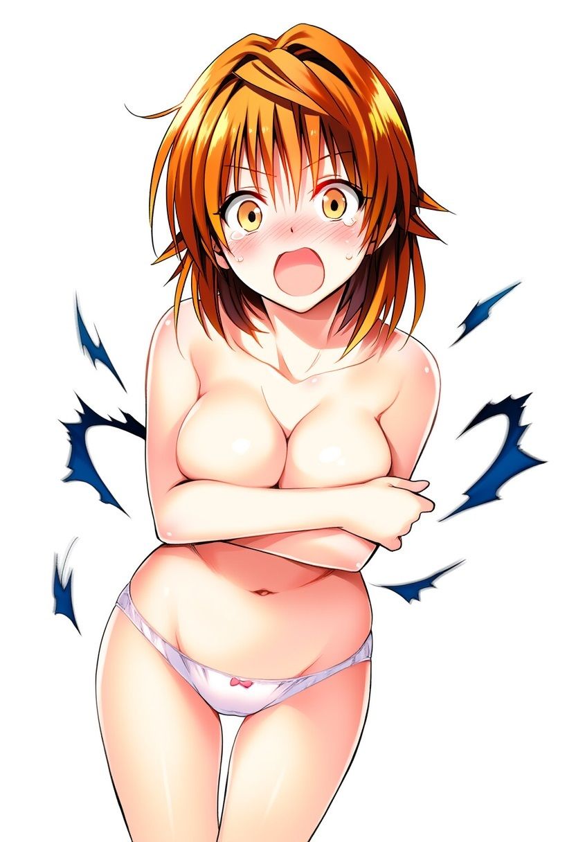 女の子の服をビリビリにひん剥いてやったplus サンプル2ページ目