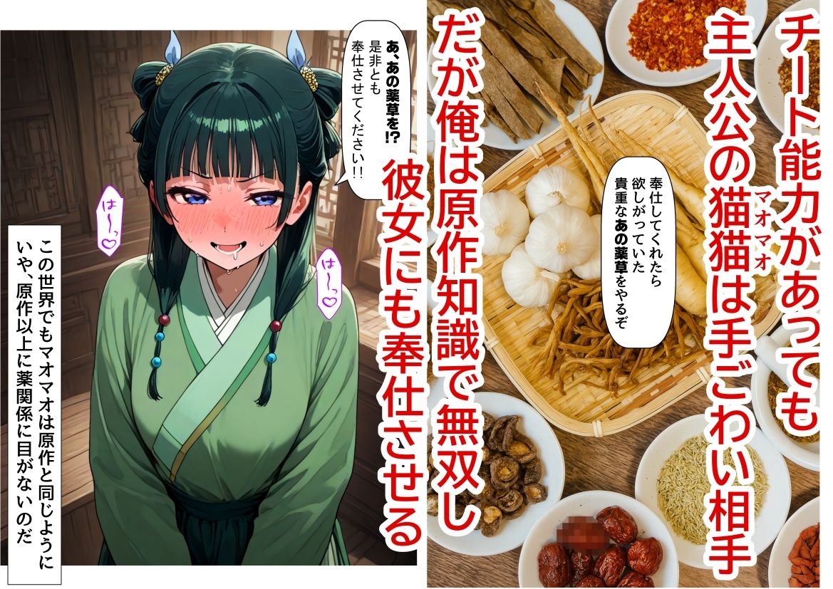 後宮美少女に種付けしまくる（後編）《ストーリー＆台詞ありCG集》〜《巨根チート皇帝転生》〜 サンプル6ページ目