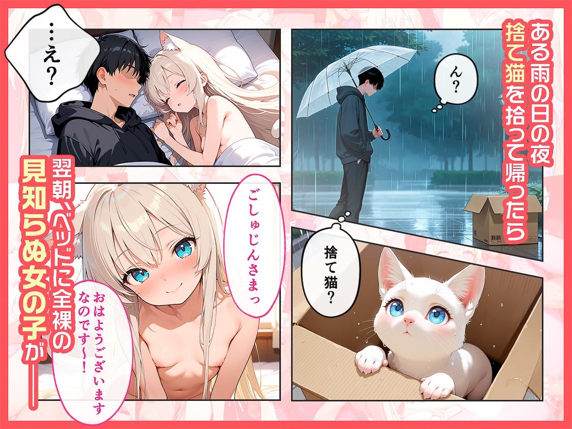 道で拾った白猫の恩返しは濃厚な種付けセックスでした サンプル2ページ目