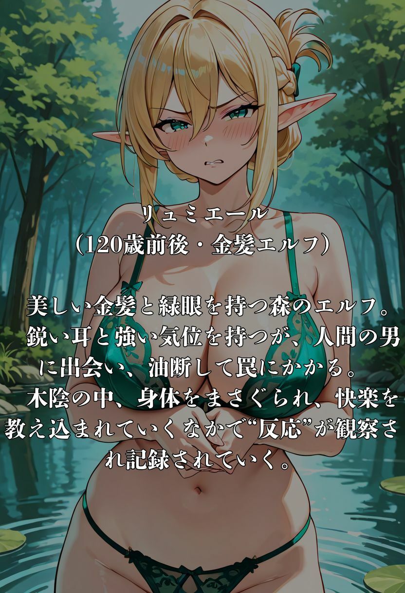 はぐれエルフの調教日記 サンプル1ページ目