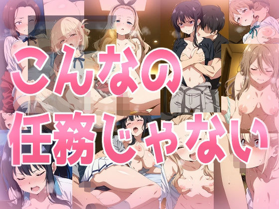 こんなの任務じゃない