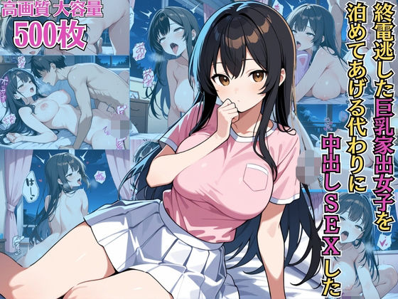 終電逃した巨乳家出女子を泊めてあげる代わりに中出しSEXした【NTR】【種付けプレス】【女子校生】【CG500枚】