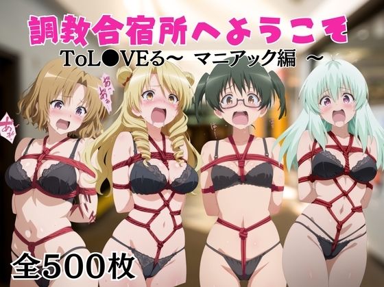 【調教合宿所へようこそ】ToL●VEる〜マニアック編〜
