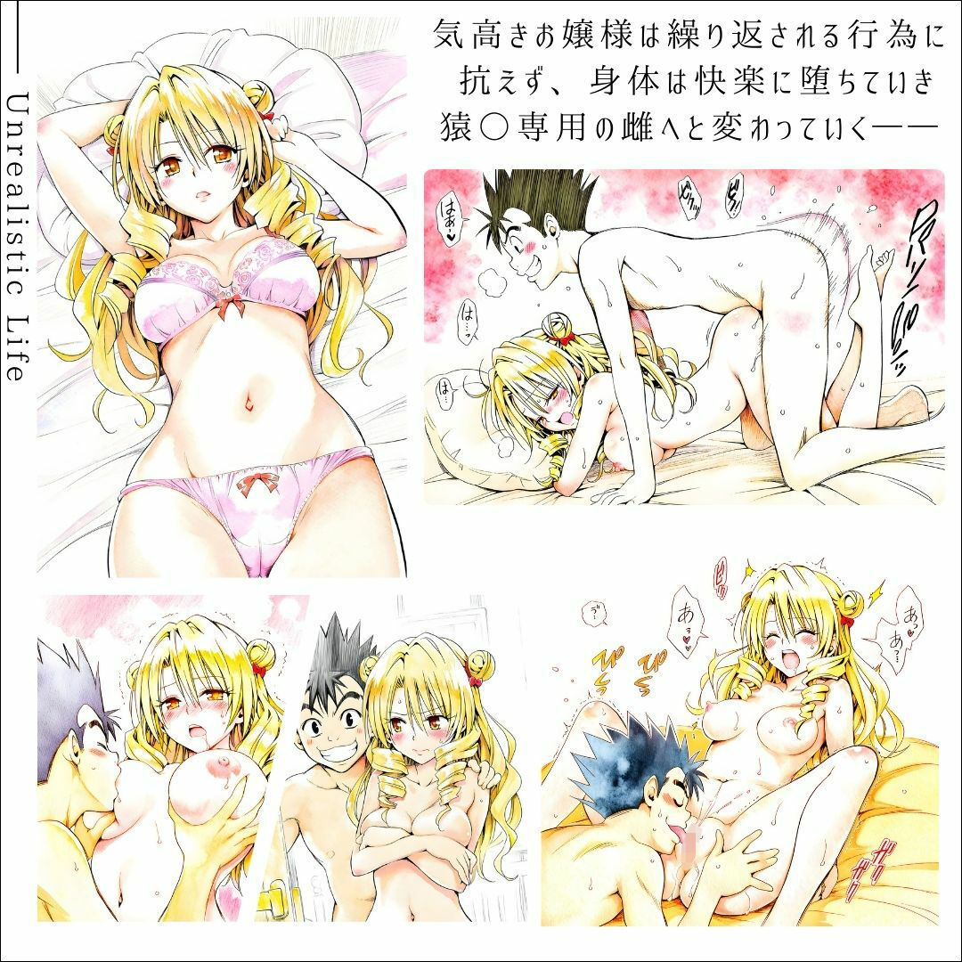 高慢令嬢、格下男子に抱かれて  快楽に堕ちたお嬢様の末路  天条院沙○ サンプル1ページ目