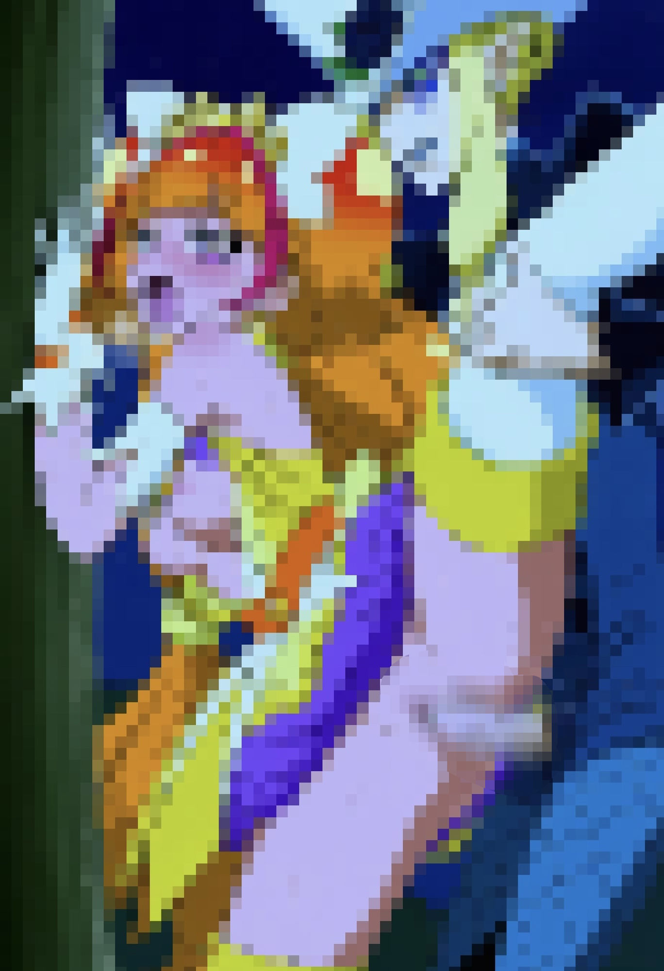 R-18キ○アトゥインクル2 サンプル5ページ目