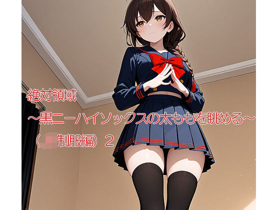 絶対領域〜黒ニーハイソックスの太ももを眺める〜（JK制服編）2縦型