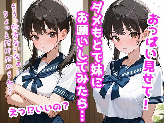 発育のイイ妹とハメたおす夢のような毎日 サンプル1ページ目