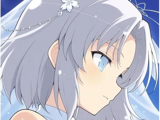 虹かけ誌   閃乱カグラ  イラスト集3   雪泉