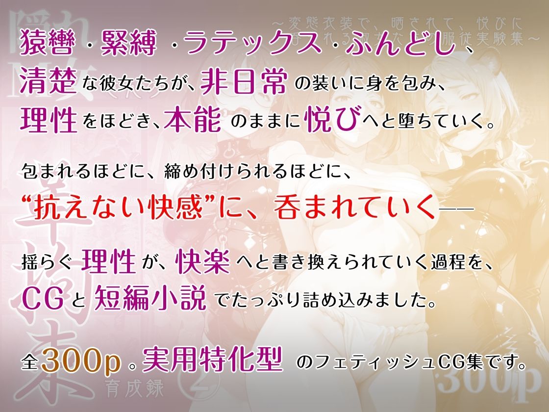 隠れM女さんの革拘束育成録2 〜変態衣装で、晒されて、悦びに呑まれる淑女たちの服従実験集〜 サンプル1ページ目
