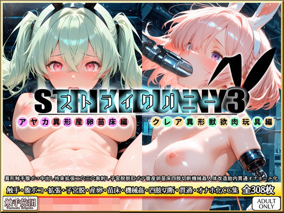 ストライクバニー3