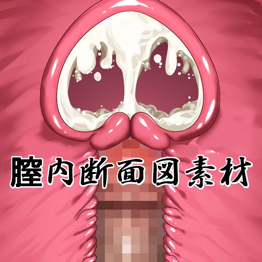 膣内断面図素材 サンプル1ページ目