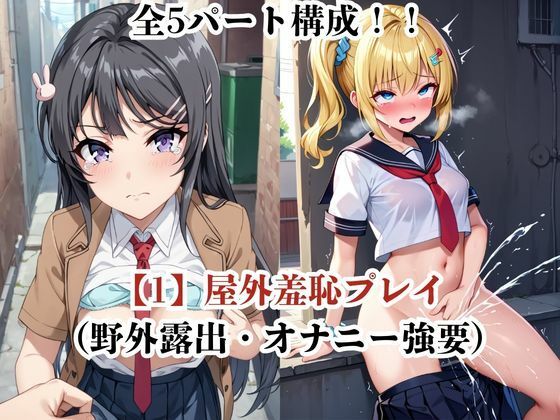 肉玩具認定証発行！！街の性処理係堕ち。―快楽と恥辱の記録―桜●麻衣＆豊●のどか編 サンプル3ページ目