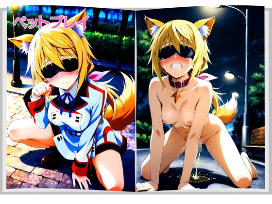 美少女宅配便 〜届いた美少女を壊れるまで犯し尽くす〜 シ◯ルロット・デュノア 編 サンプル5ページ目