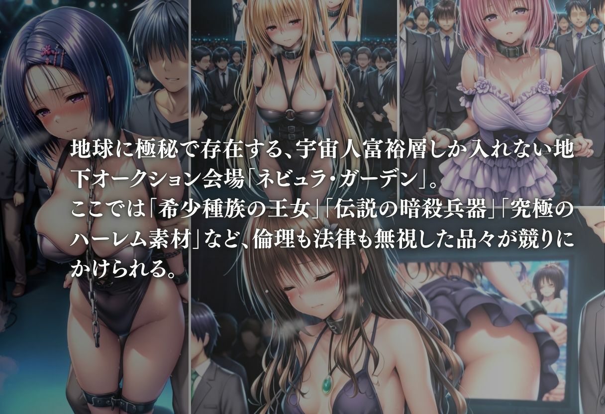 ヒロイン監禁  地下オークション サンプル2ページ目