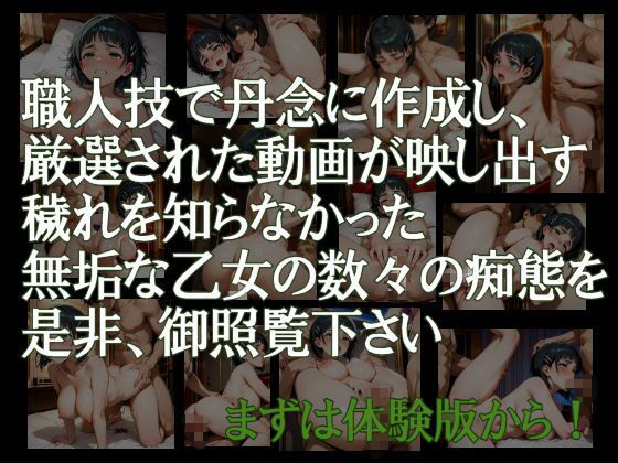純潔乙女落花妖艶録 其ノ四 桐ヶ●直葉編 サンプル2ページ目