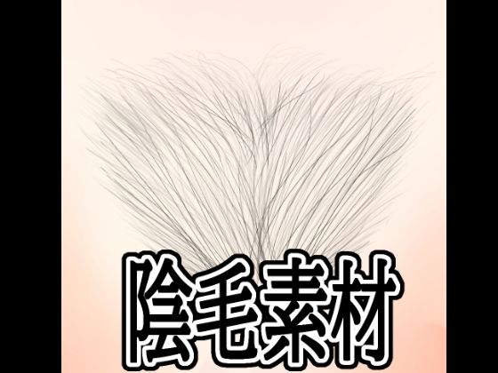 陰毛素材