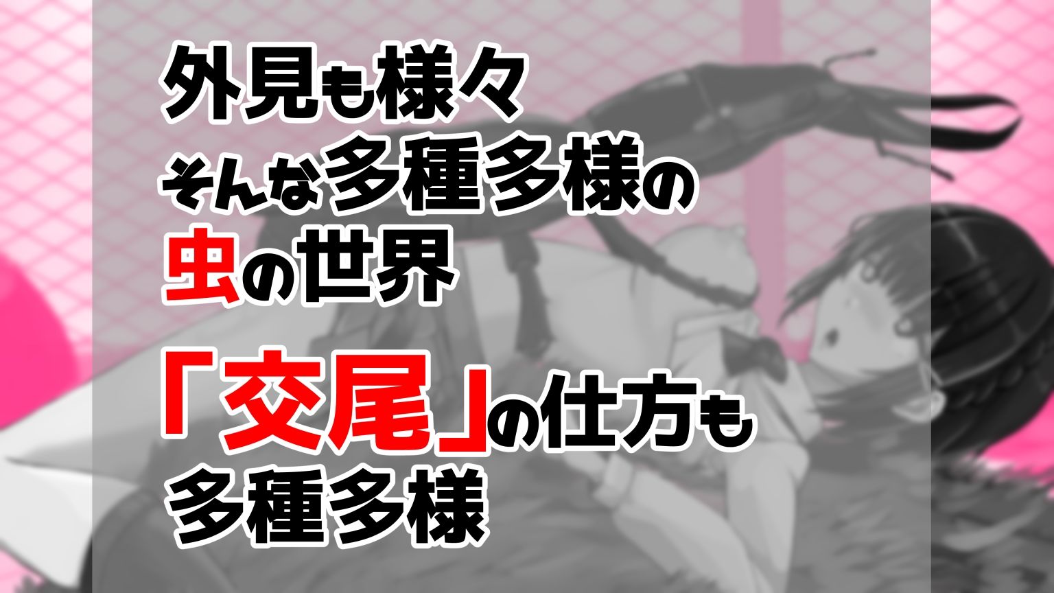 虫交尾図鑑 サンプル1ページ目