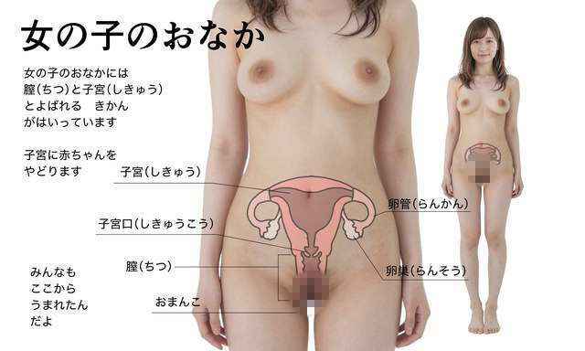 わたしたちのからだ〜こどもができるしくみ〜【実写風AIリメイク】 サンプル5ページ目