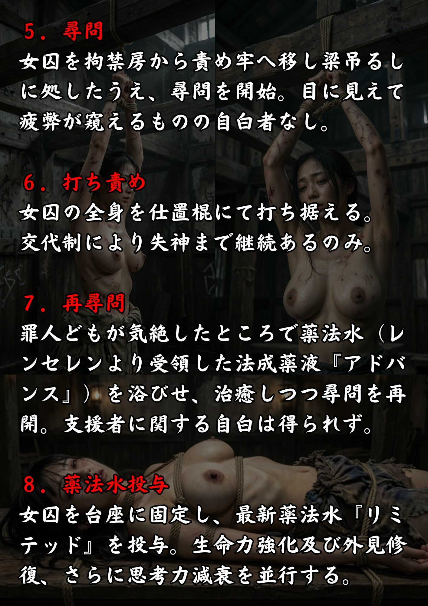 実写風拘束責めショート動画集  レンセレン審理院執刑映像資料集〜第四拷 国賊下手人仕置帖〜 サンプル3ページ目