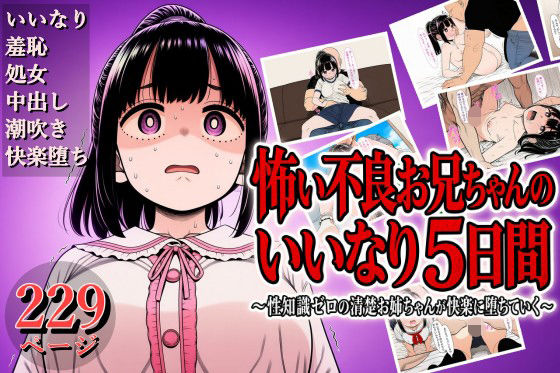 怖い不良お兄ちゃんのいいなり5日間 〜性知識ゼロの清楚お姉ちゃんが快楽に堕ちていく〜