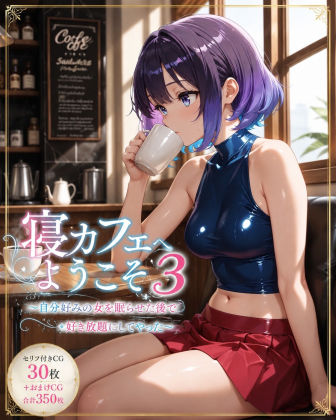 寝カフェへようこそ3〜自分好みの女を眠らせた後で好き放題してやった〜