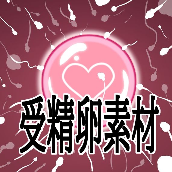受精卵素材 サンプル1ページ目
