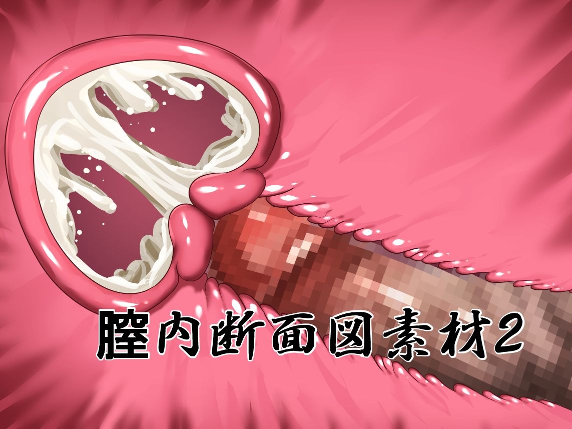 膣内断面図素材2 サンプル1ページ目