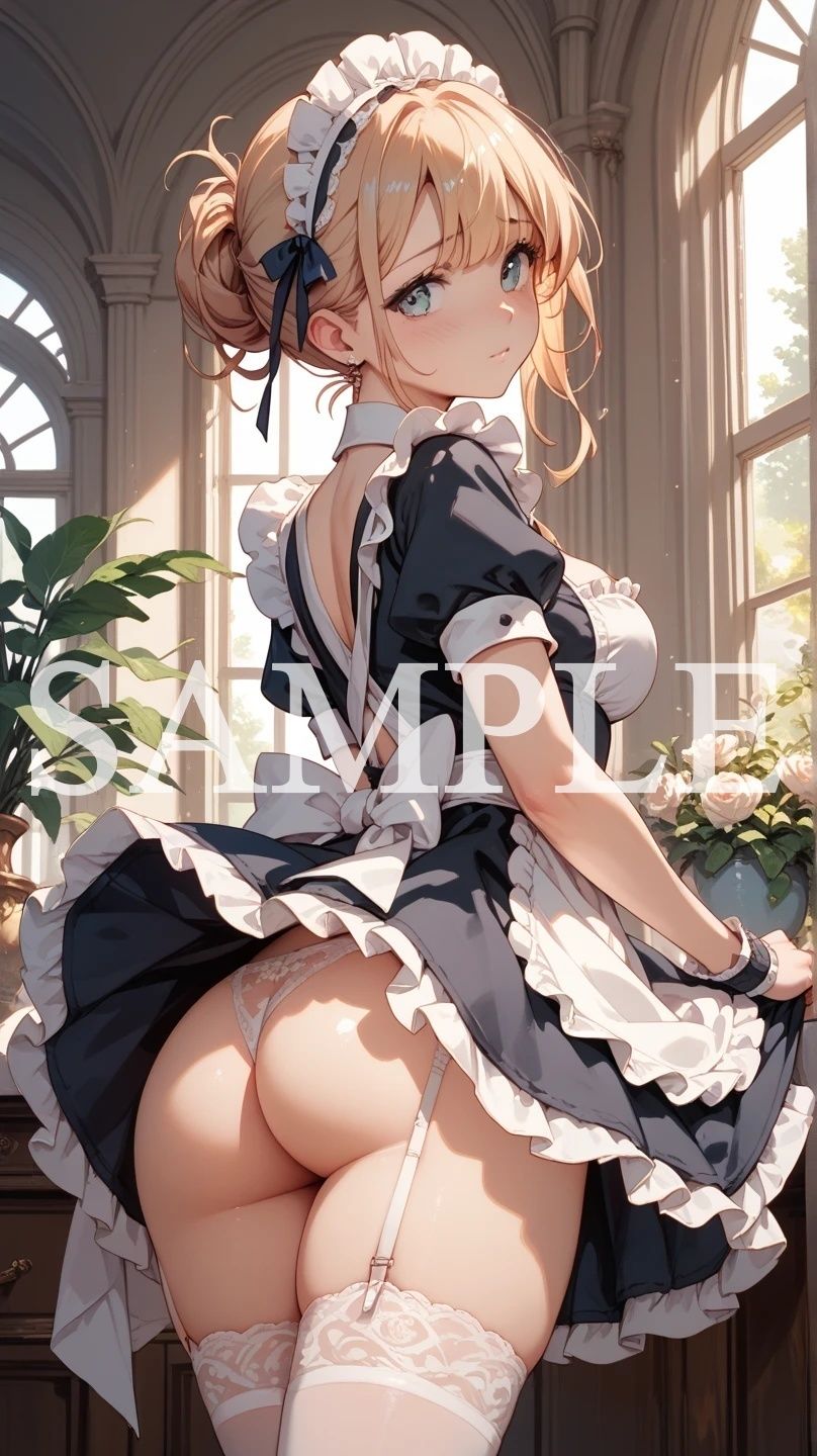 【豪華500枚セット】Luxury Maid サンプル1ページ目