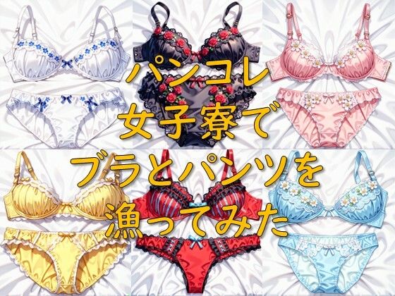パンコレ_女子寮でブラとパンツを漁ってみた