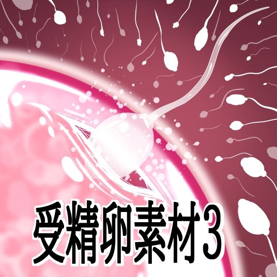 受精卵素材3 サンプル1ページ目