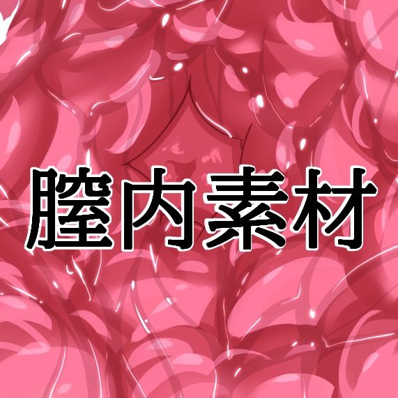 膣内素材 サンプル1ページ目
