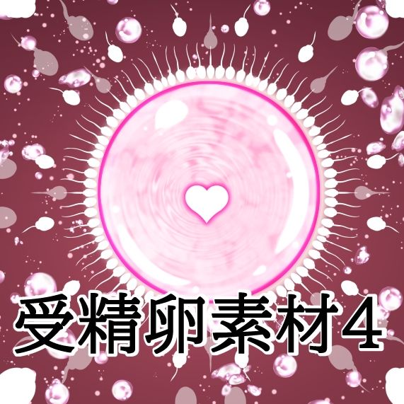 受精卵素材4 サンプル1ページ目