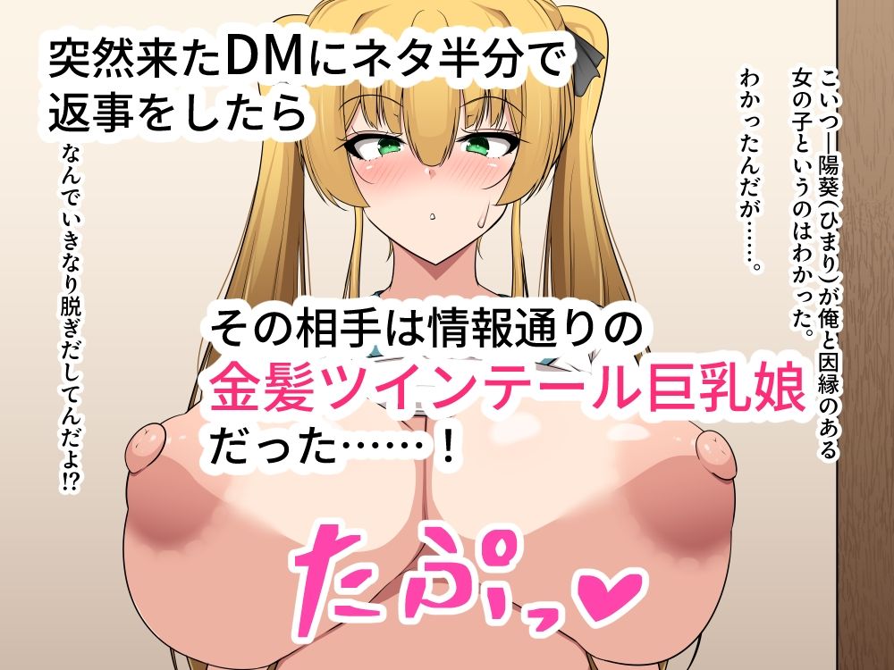 俺のことが好きらしい金髪ツインテール娘を孕ませてボテ腹にするお話。 サンプル1ページ目