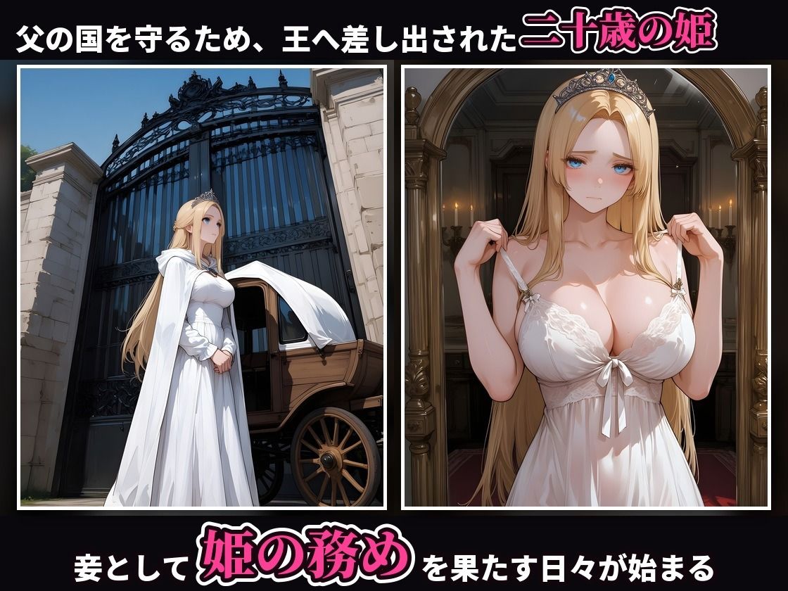 【4K・セリフ有】王に羞恥調教された姫が落城の日に敵兵の中出し輪●で堕ちるまで〜気高き妾姫・ソフィア編〜 サンプル1ページ目