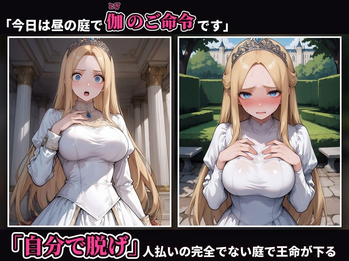 【4K・セリフ有】王に羞恥調教された姫が落城の日に敵兵の中出し輪●で堕ちるまで〜気高き妾姫・ソフィア編〜 サンプル4ページ目