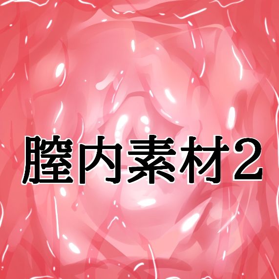 膣内素材2 サンプル1ページ目
