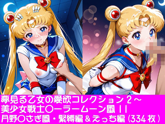 夢見る乙女の愛欲コレクション2〜美少女戦士〇ーラームーン風11・月野〇さぎ風・緊縛編＆えっち編