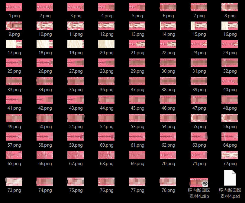 膣内断面図素材4 サンプル6ページ目