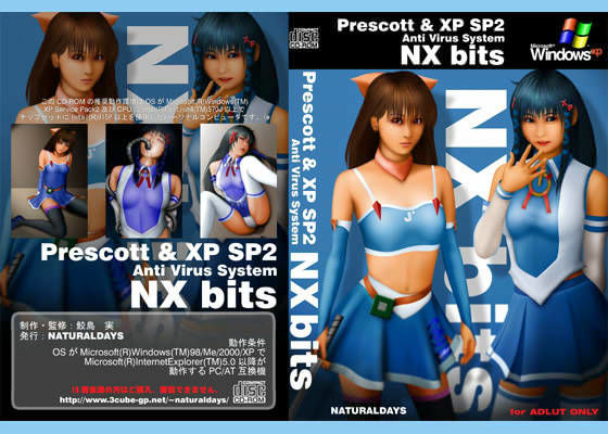 NX bits
