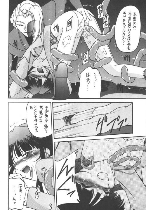 華美 サンプル2ページ目
