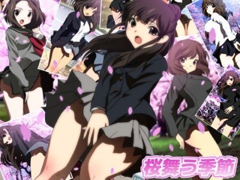 桜舞う季節