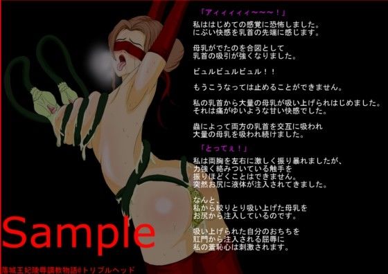 落城王妃陵●調教物語 サンプル4ページ目