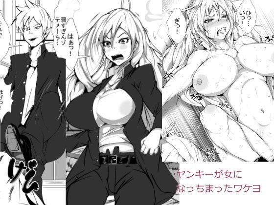 ヤンキーが女になっちまったワケヨ