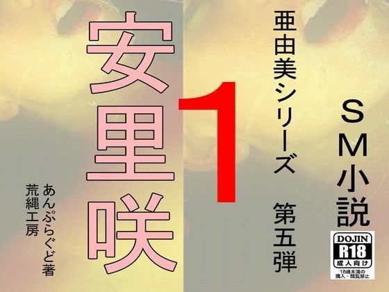 安里咲 1