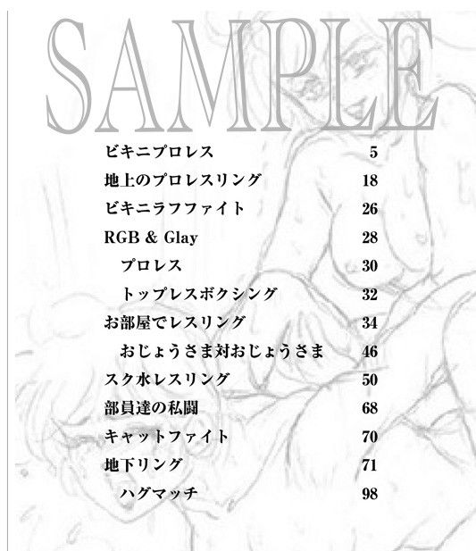 Meto@Web 1996-2004 キャットファイト ラフ画イラストデッサン集 サンプル1ページ目